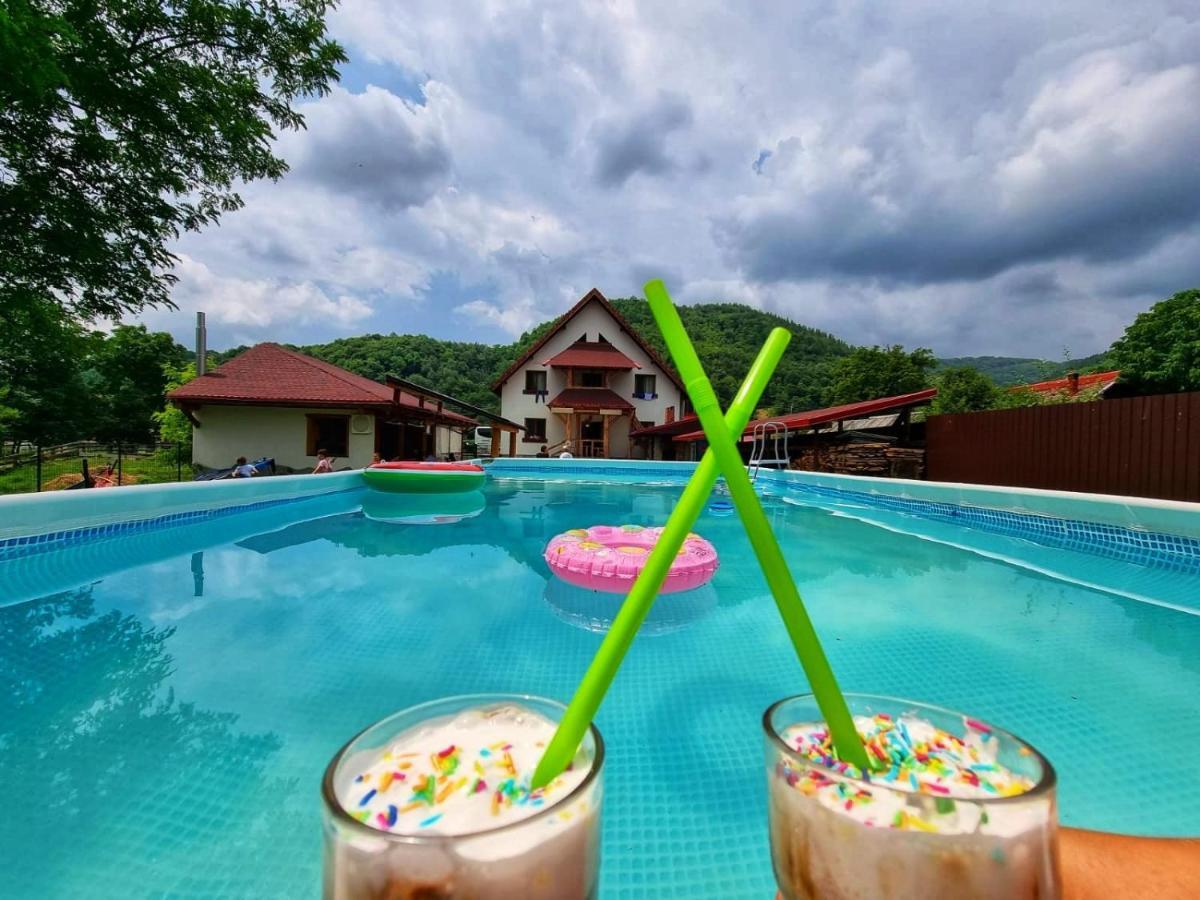 Conacul de sub munte Villa Novaci Străini Exterior foto