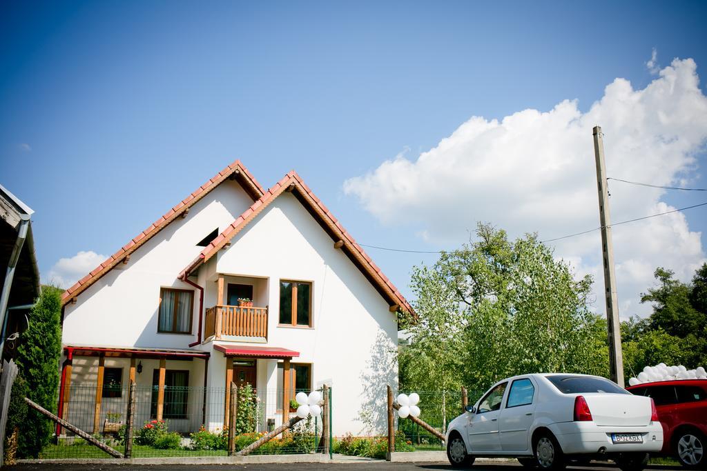 Conacul de sub munte Villa Novaci Străini Exterior foto