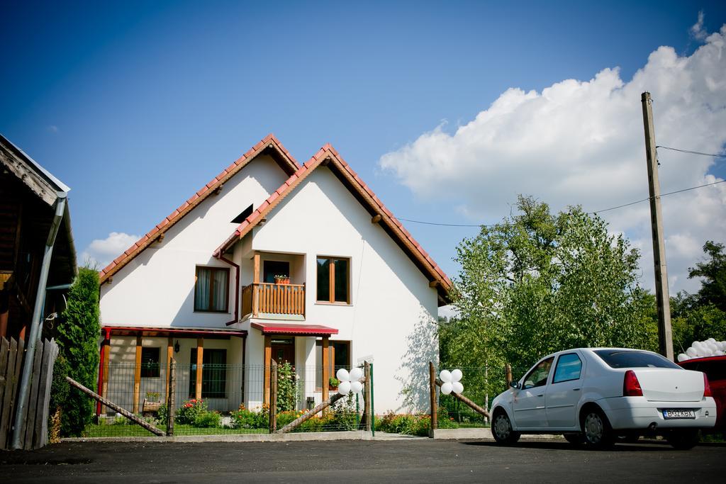 Conacul de sub munte Villa Novaci Străini Exterior foto