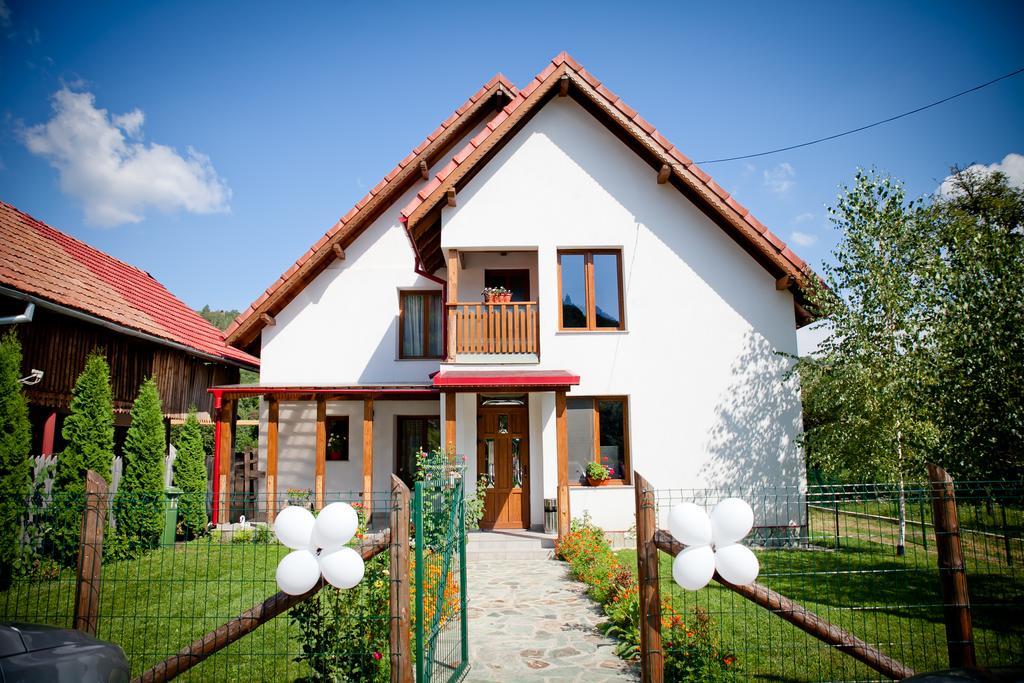 Conacul de sub munte Villa Novaci Străini Exterior foto