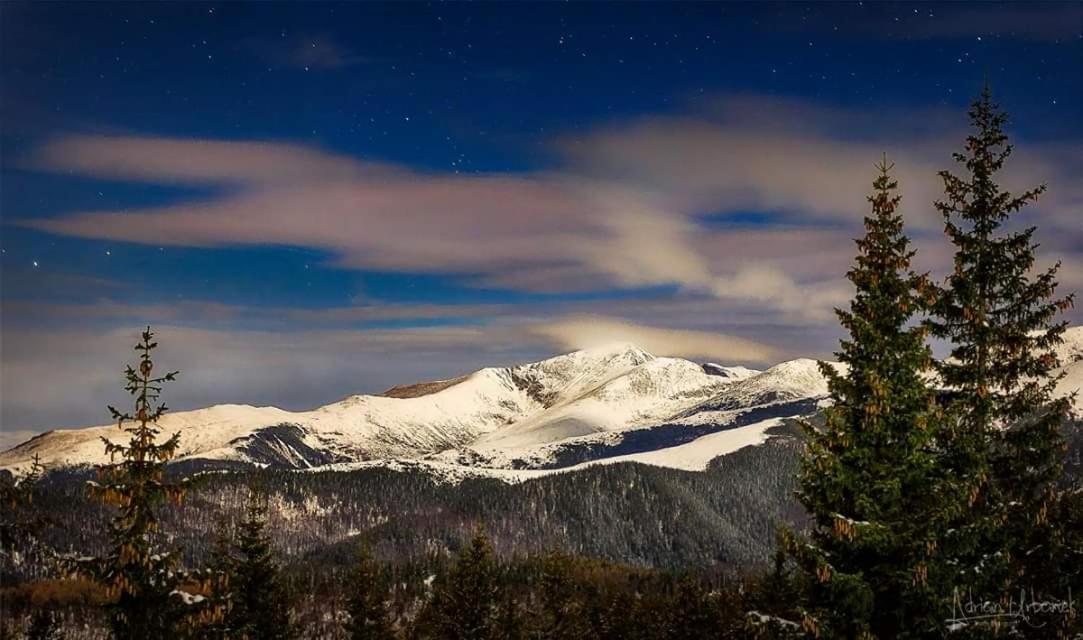 Conacul de sub munte Villa Novaci Străini Exterior foto