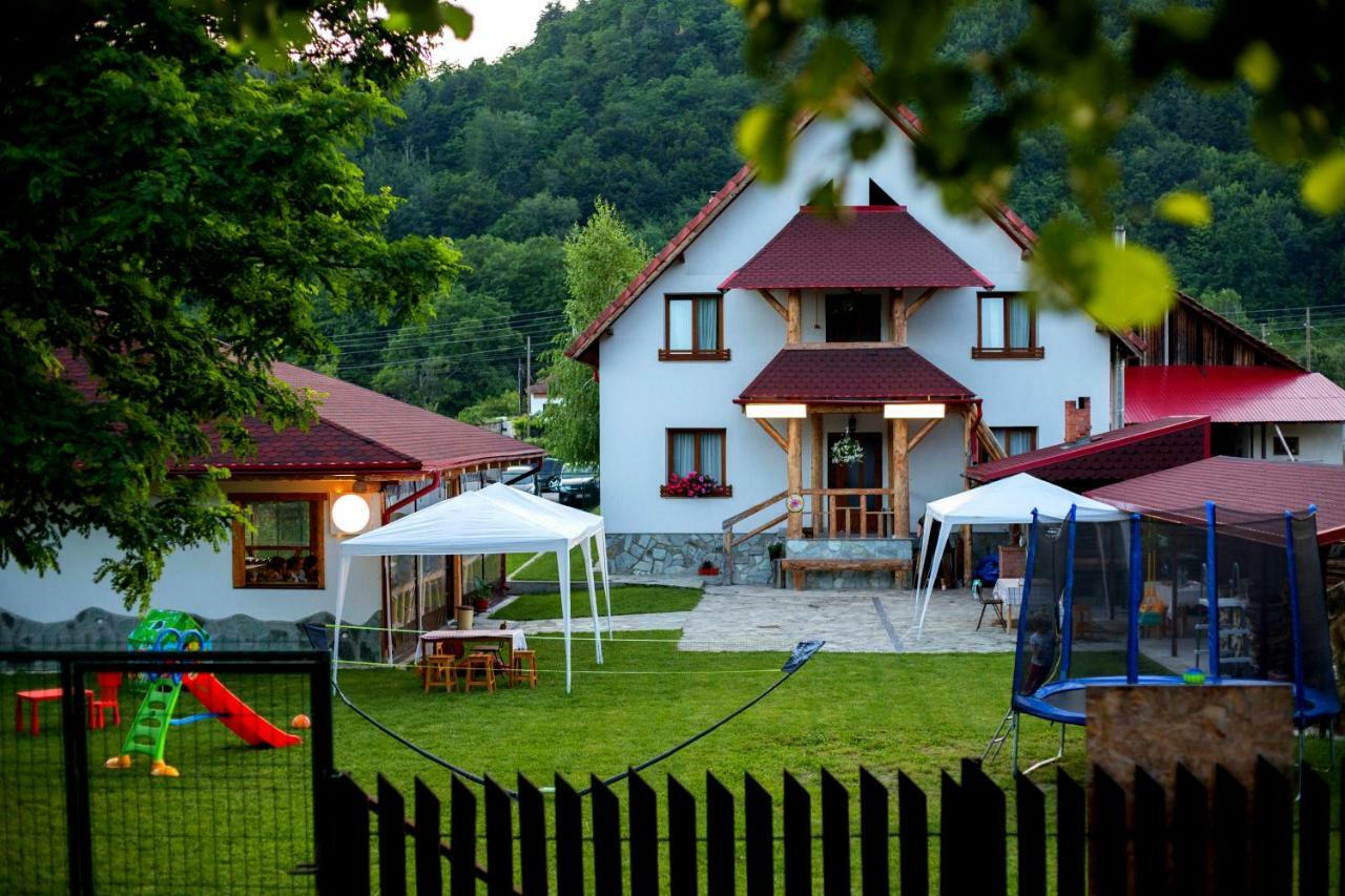 Conacul de sub munte Villa Novaci Străini Exterior foto